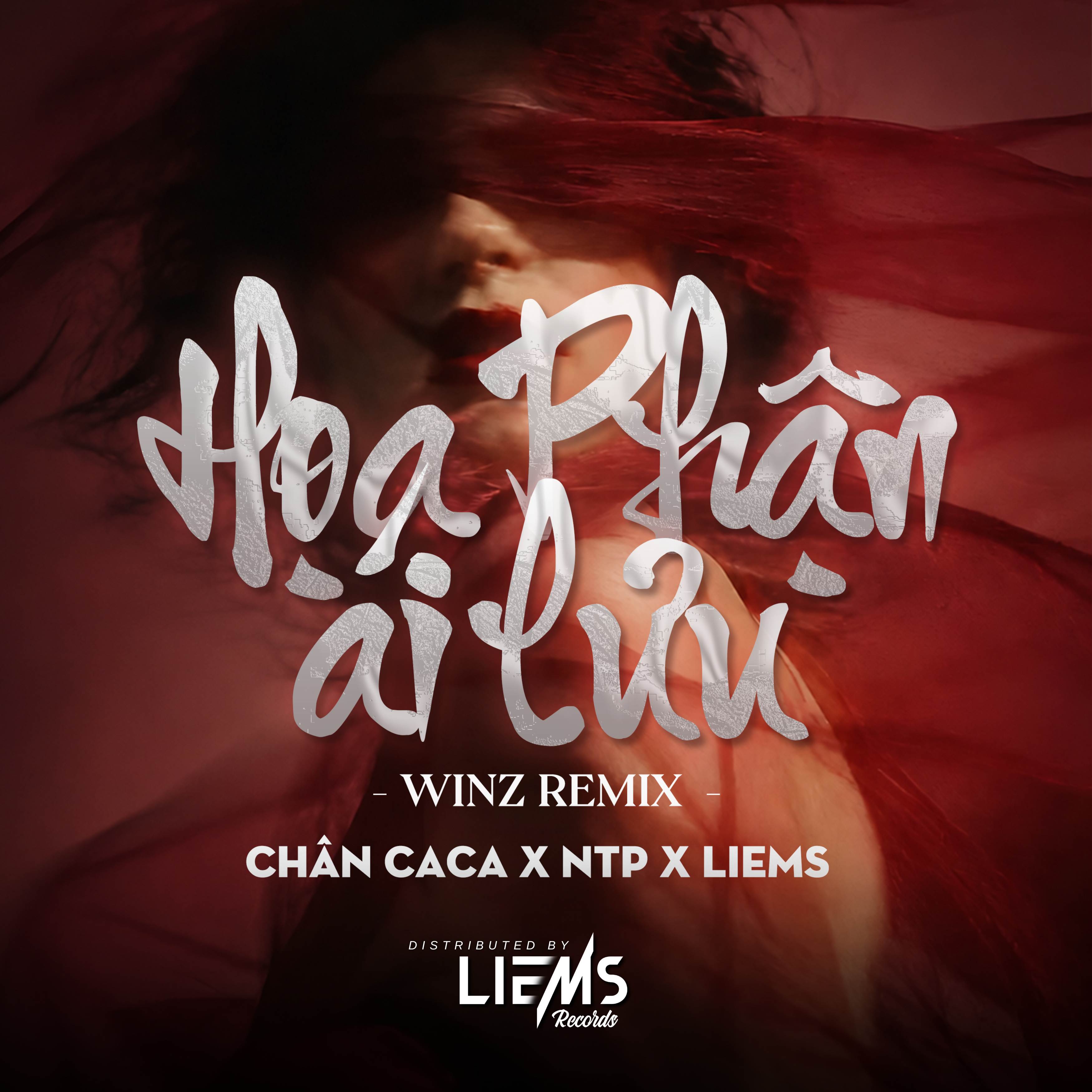 Họa Phận Ái Lưu (Winz Remix) cover art