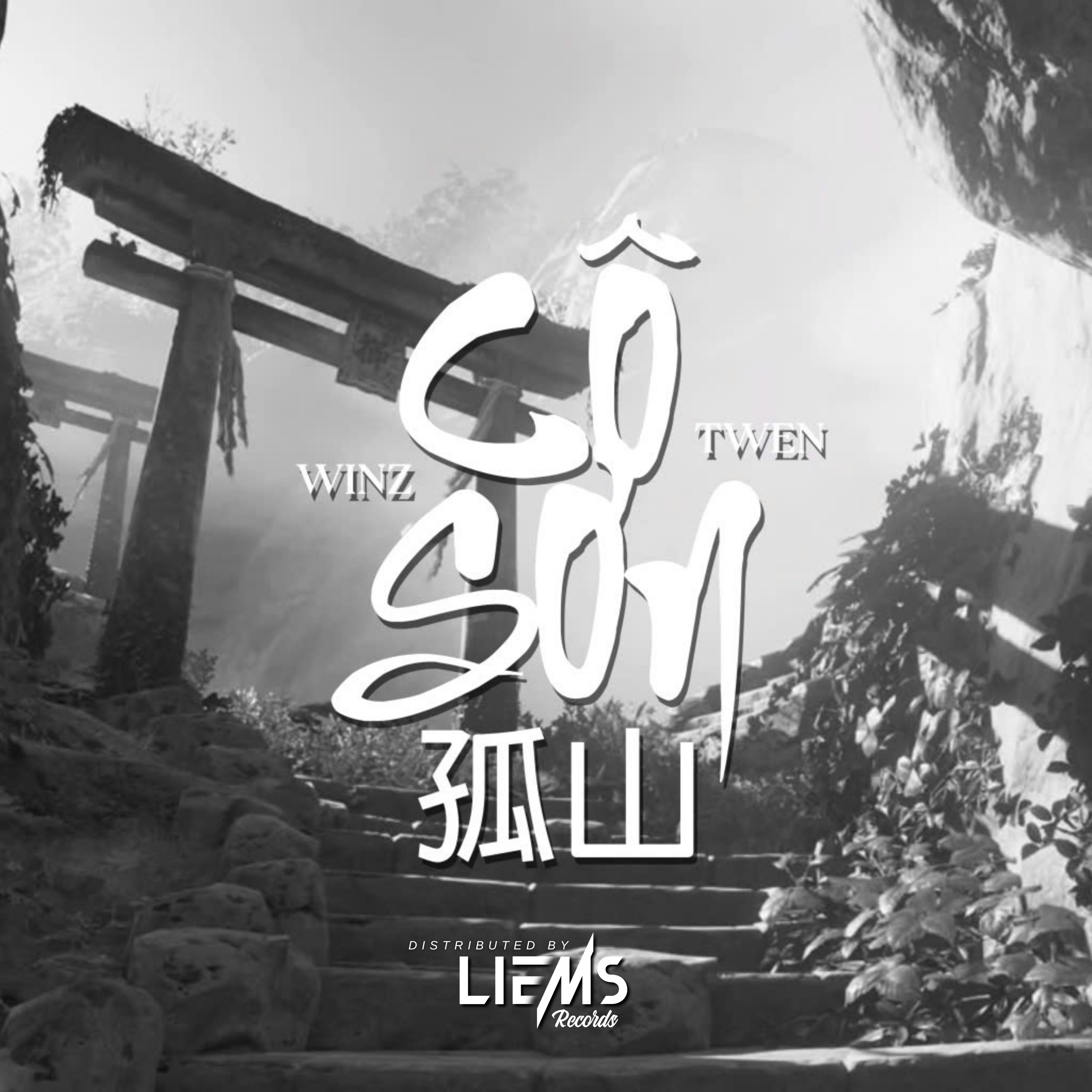 Cô Sơn cover art